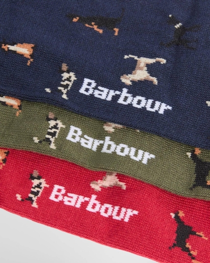 BARBOUR Barbour Dog socks gift set