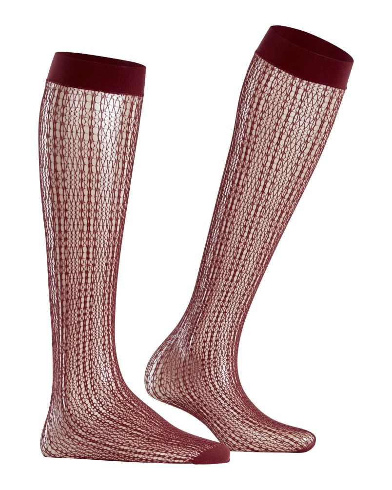 Falke Crossroads dames kniekousen cayenne