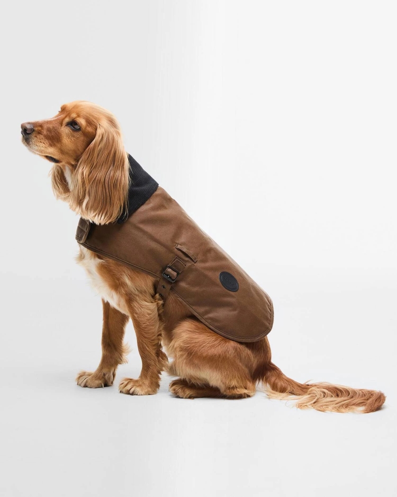 Barbour Wax dog coat tan tan