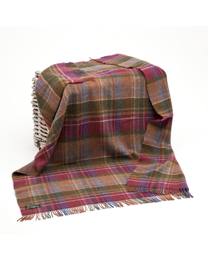 John Hanly purple green & orange tartan