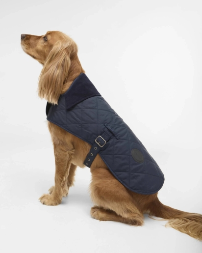 BARBOUR Barbour Quilted dog coat navy