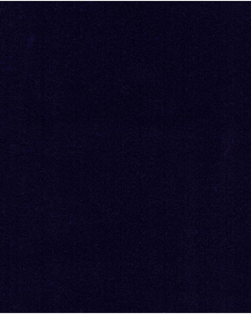 EMILIA navy