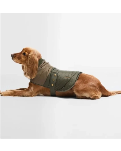 Barbour Brampton quilted dog coat olive