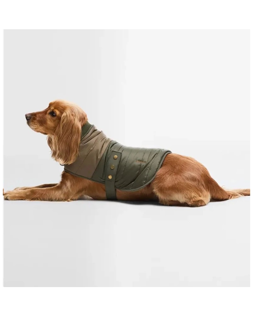 Barbour Brampton quilted dog coat olive