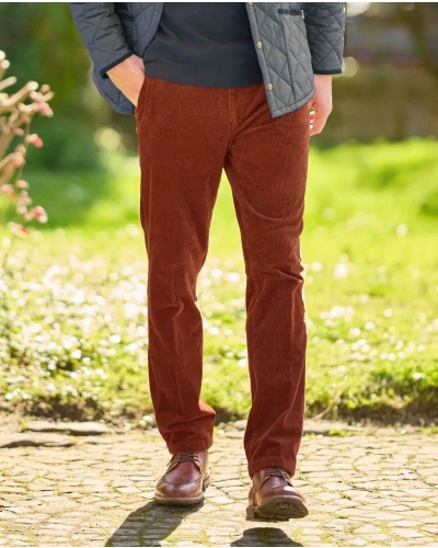 Wellington of Bilmore Mr. Bradley Genuacord burnt orange