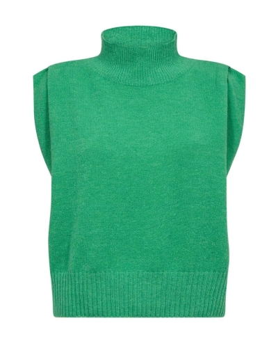 Gossia Wiwica top green green