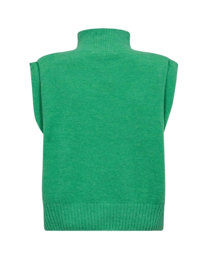 Gossia Wiwica top green green