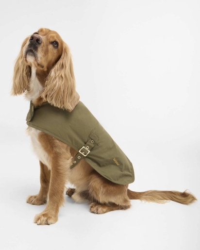 BARBOUR Barbour Transport dog coat