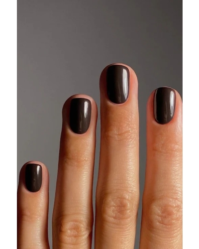 Karolin van Loon nail polish figue marron figue marron