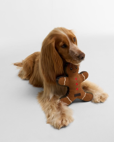 Barbour Dog christmas gingerbread toy br11 brown