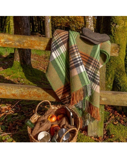 JOHN HANLY John Hanly Large Irish picnic blanket