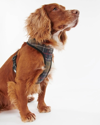 Barbour Tartan dog harness classic tartan