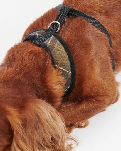 BARBOUR Barbour Tartan dog harness