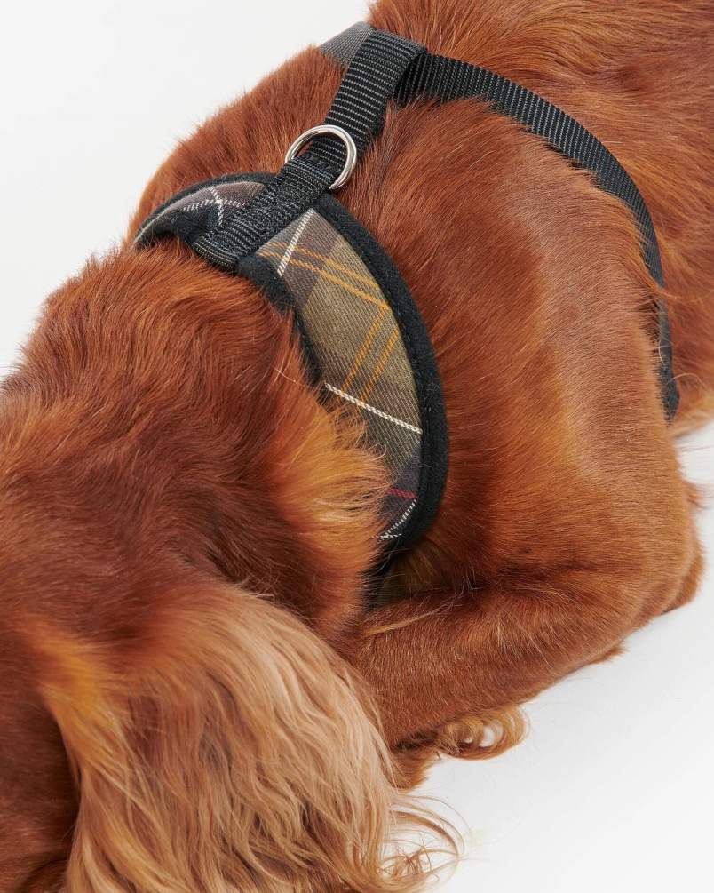 Barbour Tartan dog harness classic tartan