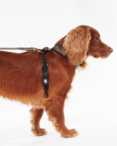 Barbour Tartan dog harness classic tartan