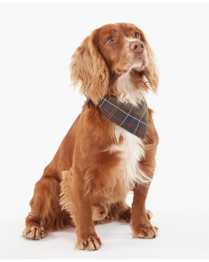 BARBOUR Barbour Tartan dog bandana