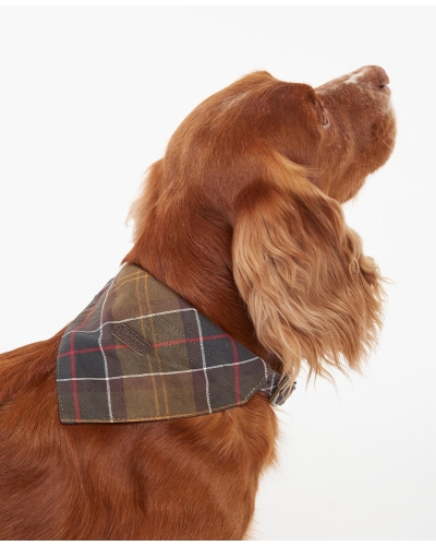 Barbour Tartan dog bandana classic tartan