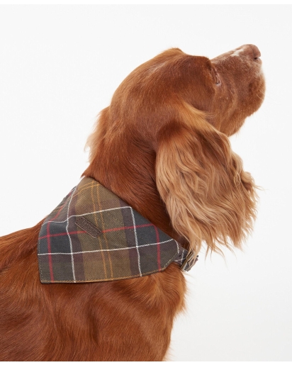 BARBOUR Barbour Tartan dog bandana