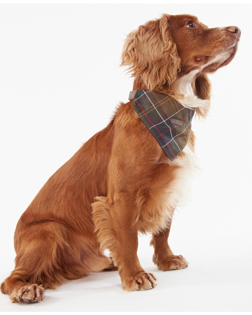 Barbour Tartan dog bandana classic tartan