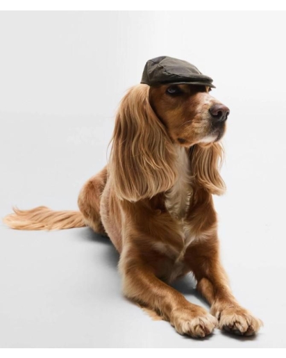 BARBOUR DOG WAX FLAT CAP