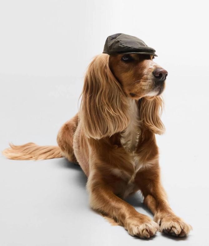 DOG WAX FLAT CAP olive