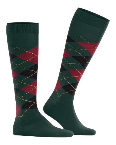 Burlington Edinburgh heren kniesokken thyme
